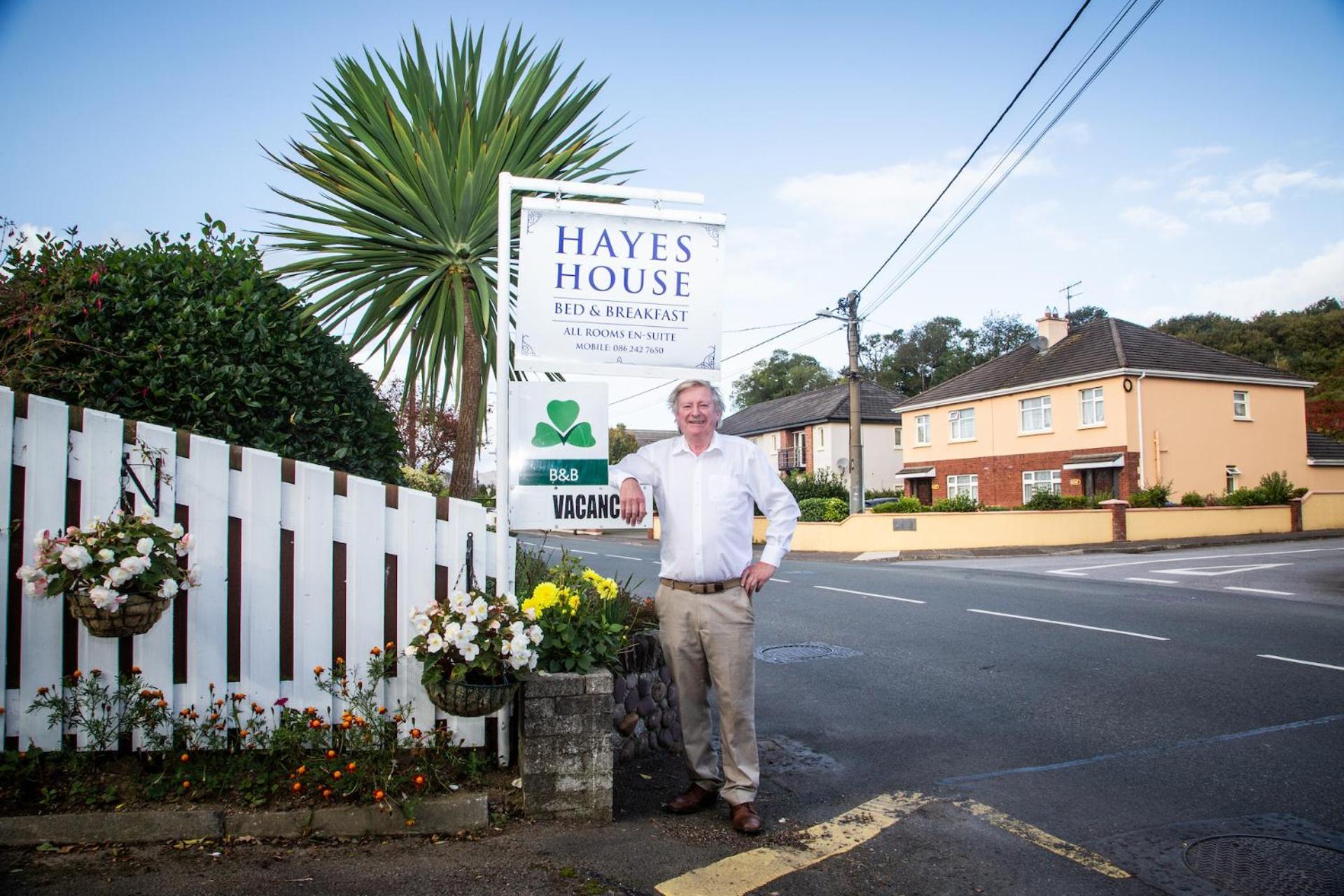 Hayes House Killarney Bed and Breakfast Εξωτερικό φωτογραφία